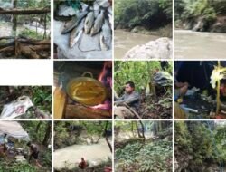 Menepi di Sunyi: Berburu dan Menikmati Ikan Gegaring Masam Jing di Hutan Bergang–Karang Ampar
