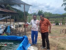 Manfaatkan Pekarangan Rumah, Kadis PMK Subulussalam Apresiasi Pj Kades Sukamakmur