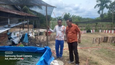 Manfaatkan Pekarangan Rumah, Kadis PMK Subulussalam Apresiasi Pj Kades Sukamakmur