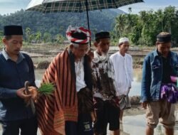 Tradisi Nene Nomang di Gayo Lokop, Ketua MAA Serbajadi: Warisan Leluhur yang Harus Dilestarikan