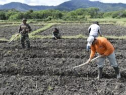 Wujudkan Program Unggulan KASAD, Satgas TMMD ke-126 Bersama Warga Siapkan Lahan Pertanian