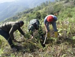 Wujud Peduli Lingkungan, Satgas TMMD ke-126 Tanam Ratusan Pohon di Desa Reje Guru