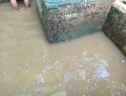 Air Bersih Kembali Normal Warga Ucapkan Terimakasihke Kepada Pemerintah Kota Subulussalam