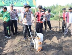 Dari Polisi untuk Pangan Negeri, Polres Aceh Tengah Tanam Jagung Serentak