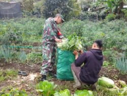 Babinsa Jagong Jeget Perkuat Ketahanan Pangan Bersama Warga Desa Binaan