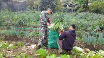 Babinsa Jagong Jeget Perkuat Ketahanan Pangan Bersama Warga Desa Binaan