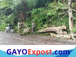 Gerak Cepat Atasi Kemacetan, Dandim 0106/Aceh Tengah Turunkan Anggota Bersihkan Kayu Tumbang
