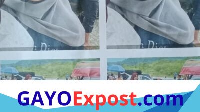 Remaja 18 Tahun di Bener Meriah Hilang Misterius, Polisi Bergerak dan Minta Bantuan Warga