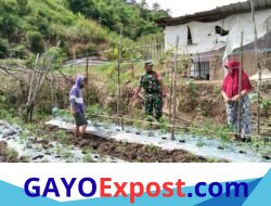 Babinsa Pegasing Turun Langsung Dampingi Ketahanan Pangan Warga Wih Lah