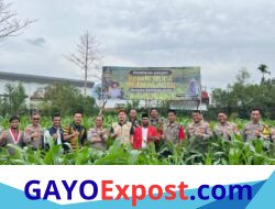 Kapolres Aceh Tengah Turun Langsung, Pastikan Jagung Tumbuh Subur Dukung Swasembada Pangan 2026