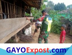 Babinsa Atu Lintang Dampingi Peternak Kambing, Dorong Ketahanan Pangan Desa