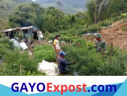 Babinsa Koramil 05/Linge Perkuat Komunikasi dengan Petani dan Aparatur Desa