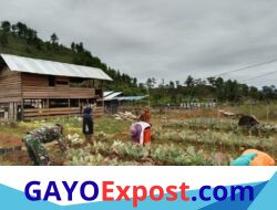 Babinsa Koramil 04/Bintang Dampingi Warga Rawat Tanaman Sawi di Kala Bintang