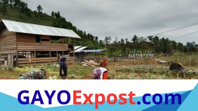 Babinsa Koramil 04/Bintang Dampingi Warga Rawat Tanaman Sawi di Kala Bintang
