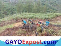 Babinsa Koramil 04/Bintang Bantu Warga Buka Lahan Cabai di Jamur Konyel