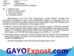 Kemendagri Verifikasi Batas Subulussalam–Aceh Selatan, Sasar 6 Kampung dan Kawasan Rawa Singkil