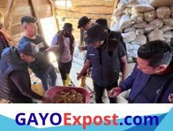 Polres Aceh Tengah Gerebek Dugaan Tambang Emas Ilegal di Pegasing, Ratusan Karung Material Diamankan