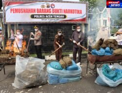101,9 Kg Ganja Dimusnahkan, Kapolres Teguh: Jangan Coba Bermain di Aceh Tengah